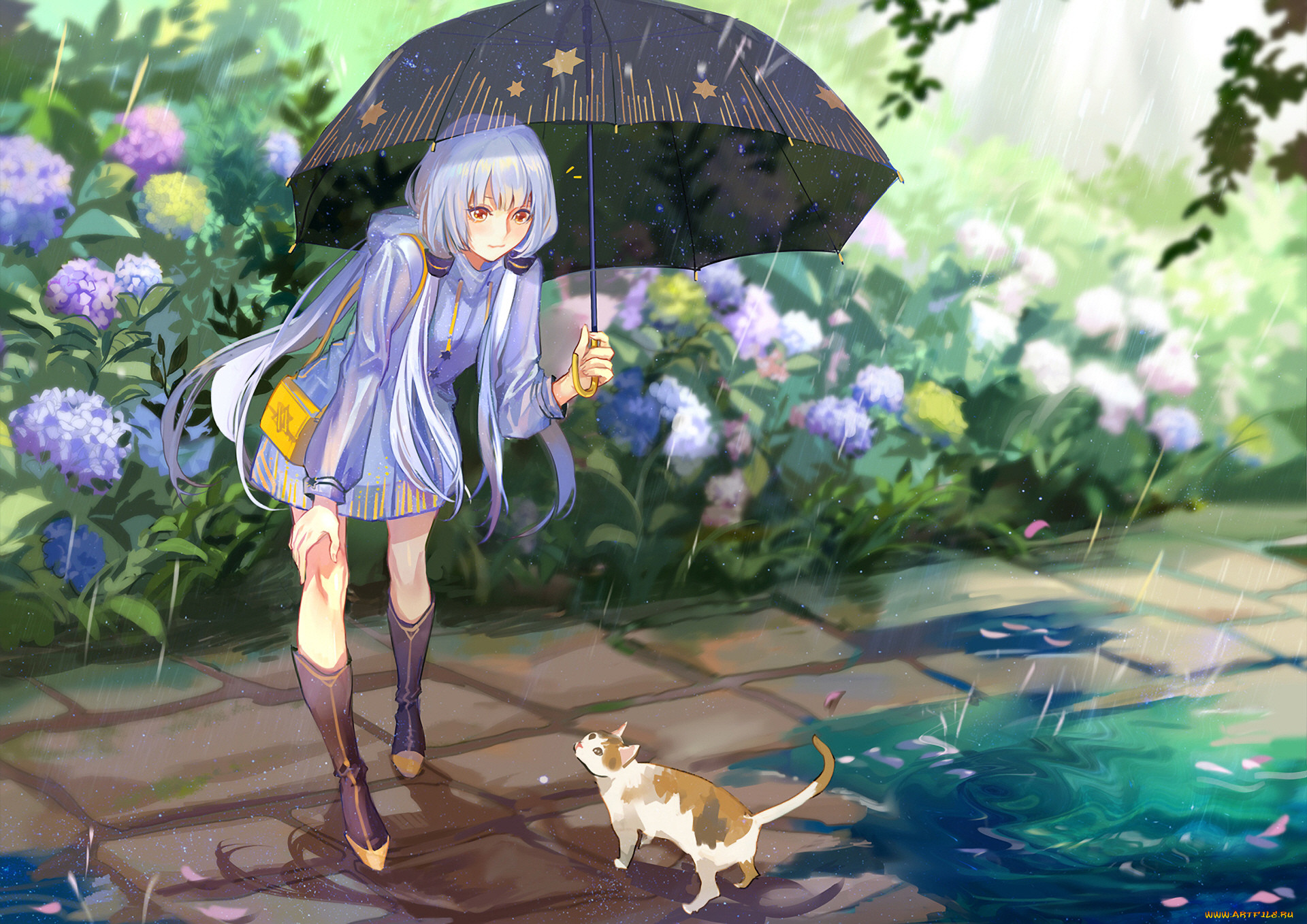 Кот девушка дождь аниме